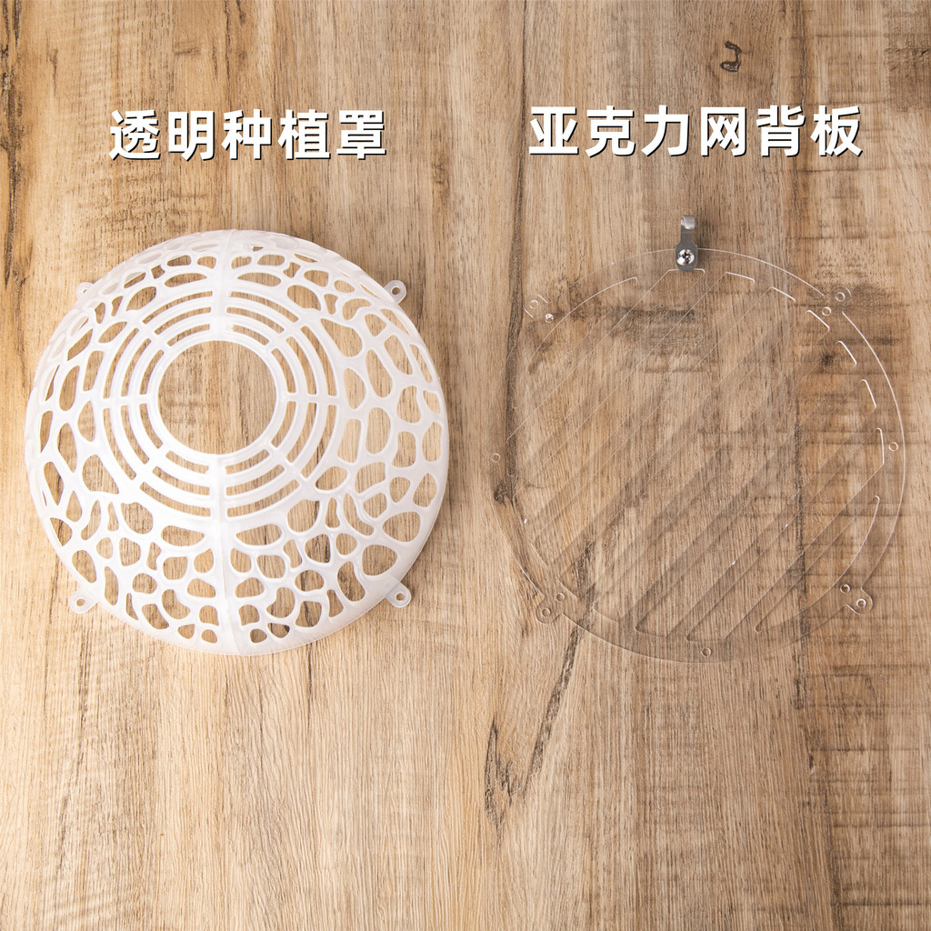 20 ซม.Staghorn Fern ฝาครอบปลูก Phalaenopsis ฝาครอบปลูกพืชน้ํา Suspension Ball Non-Asian Monkey Horse