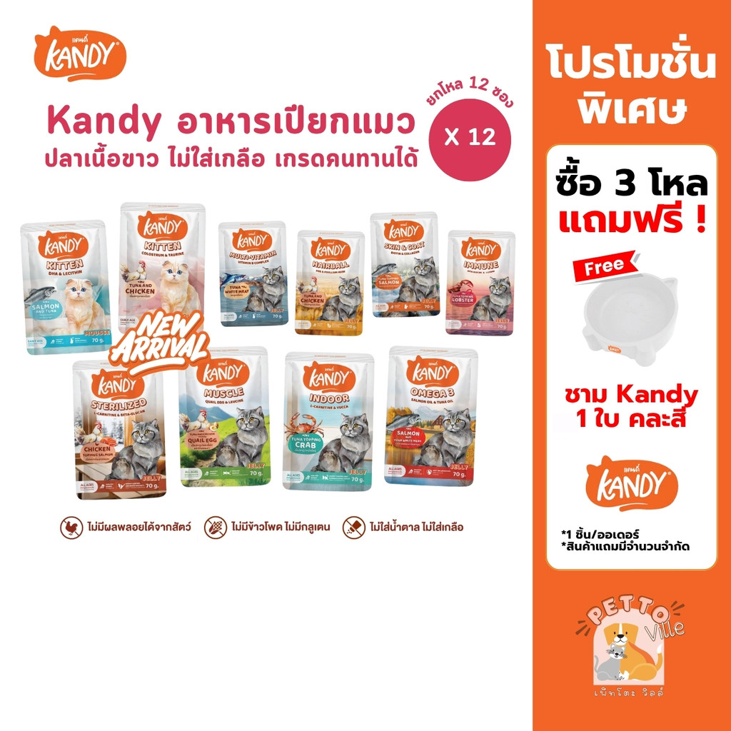 Kandy แคนดี้ [ยกโหล 12 ซอง] อาหารเปียกแมว ไม่ใส่เกลือ ผลิตจากปลาเนื้อขาว ขนาด 70 กรัม
