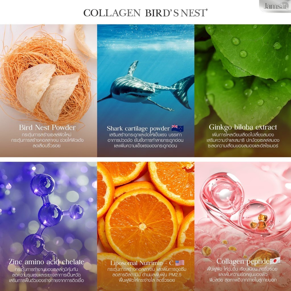 รังนกแจ่มใส [ ส่งจากบริษัท | ลดในไลฟ์ %] COLLAGEN BIRD’S NEST Jamsai คอลลาเจนรังนก แจ่มใส บำรุงกระดูก ข้อเข่า ราคา ถูกที่สุด ดีลบีเคเค แกลเลอรีภาพที่ 5