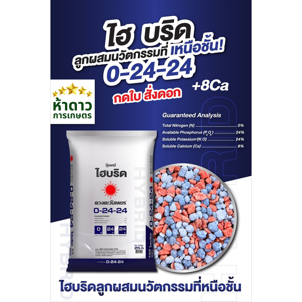 (ยกกระสอบ25กก.)ปุ๋ยไฮบริด 0-24-24 ดวงตะวันเพชร ปุ๋ยกดใบสั่งดอก เปิดตาดอกทุเรียน ลดการแตกใบอ่อน สร้าง