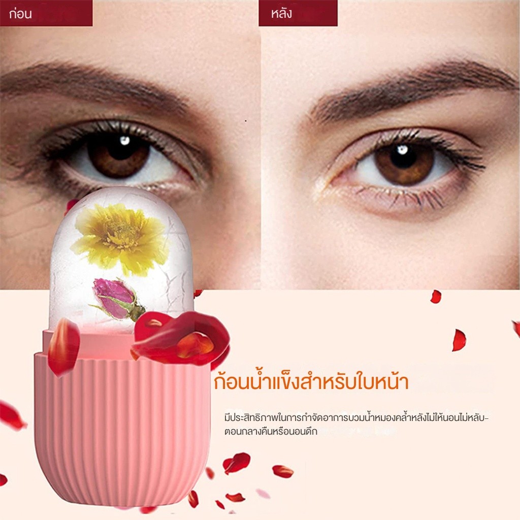 รูปภาพ 5