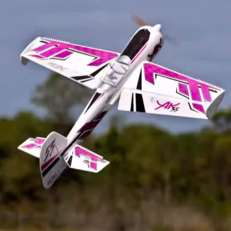 TAFT HOBBY Win Yak-55 10E 1196mm Model Aircraft เครื่องบินปีกคงที่ FLEX