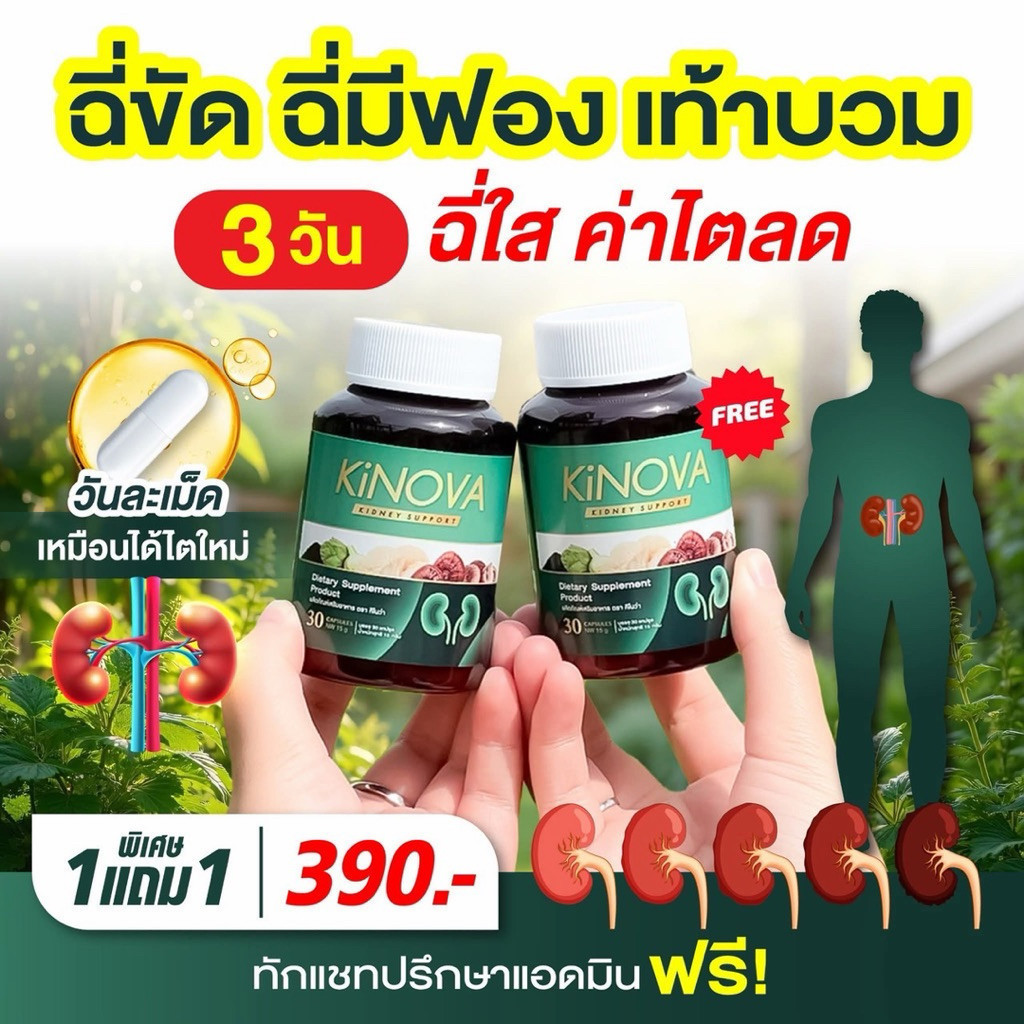 คิโนว่า KINOVA 1 แถม 1 (ส่งฟรี) ของแท้ 100%