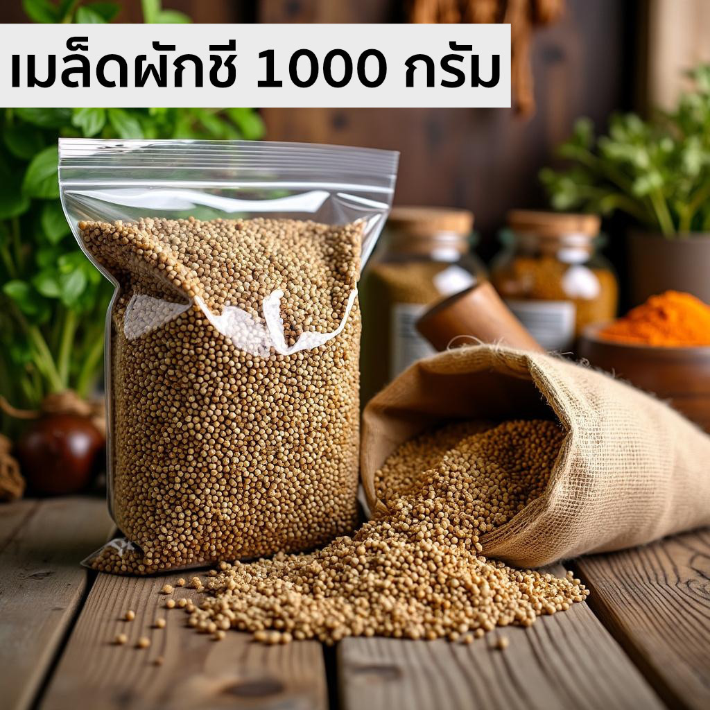 มีส่งด่วน เม็ดผักชี เมล็ดผักชี ลูกผักชีสำหรับทำอาหาร