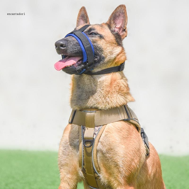 EC Dog Muzzle Nylon Muzzle Secure Muzzle Medium Large Breeds Multicolor Muzzle