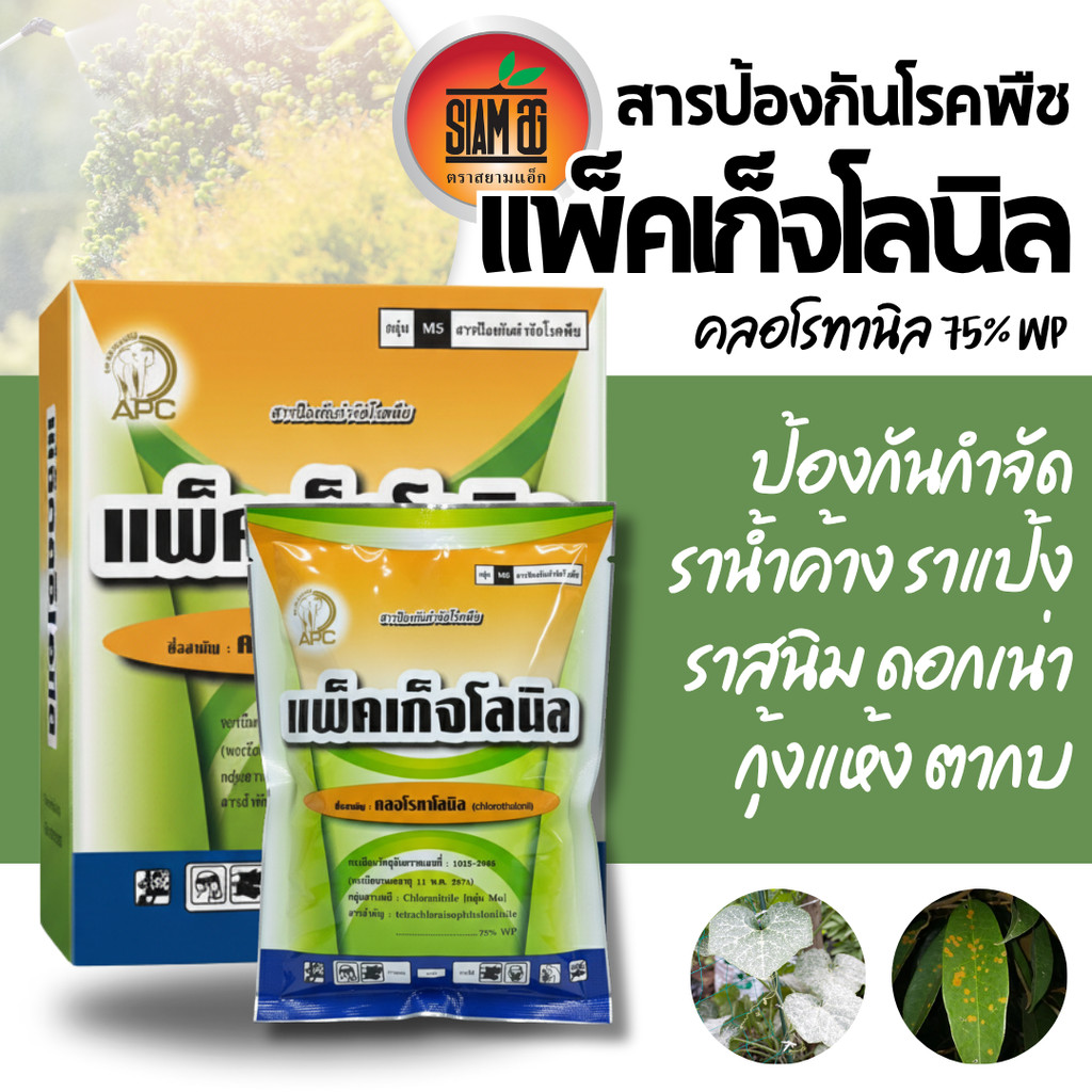// แพ็ค10ซอง // (100 กรัม) คลอโรทาโลนิล75% ใช้ป้องกันกำจัดโรคพืช โรคใบจุด โรคราน้ำค้าง โรคแอนแทรคโนส