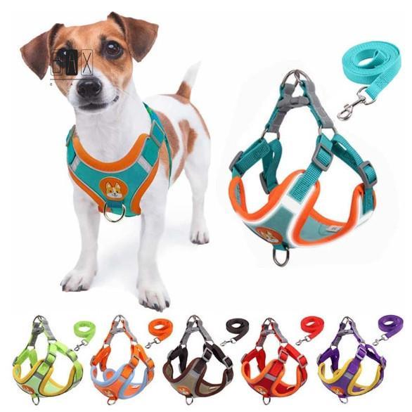 ปลอกคอสุนัข Cat Pectoral - ชุดคู่มือพร้อมเสื้อกั๊กสัตว์เลี้ยงสําหรับสัตว์เลี้ยงขนาดกลางขนาดเล็ก