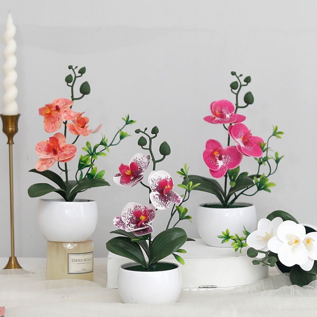 กล้วยไม้ปลอม ดอกไม้ปลอมพร้อมกระถาง เสมือนจริง ตกแต่งบ้าน มินิมอล Phalaenopsis นอร์ดิก สวยงามเหมือนของจริง ต้นไม้ปลอม วางโต๊ะทำงาน ห้องนั่งเล่น ห้องนอน คาเฟ่ พร็อพถ่ายรูป ของขวัญขึ้นบ้านใหม่ สีสันสดใส ทนทาน ดูแลรักษาง่าย ไม่เหี่ยวเฉา