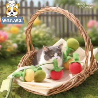 wen.W2 ของขวัญคริสต์มาสแมว! มะเขือเทศแมงกานิส กระดิ่งดังก้อง 3สี ทนทานสุดๆ แปะผนังได้ ของเล่นฮิต