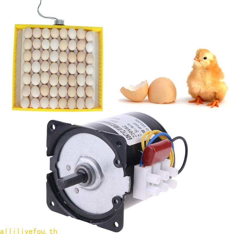 LIVE 220V อัตโนมัติ Incubator ไข่ Hatcher เครื่องยนต์ Reversible Geared มอเตอร์ 2 5r min