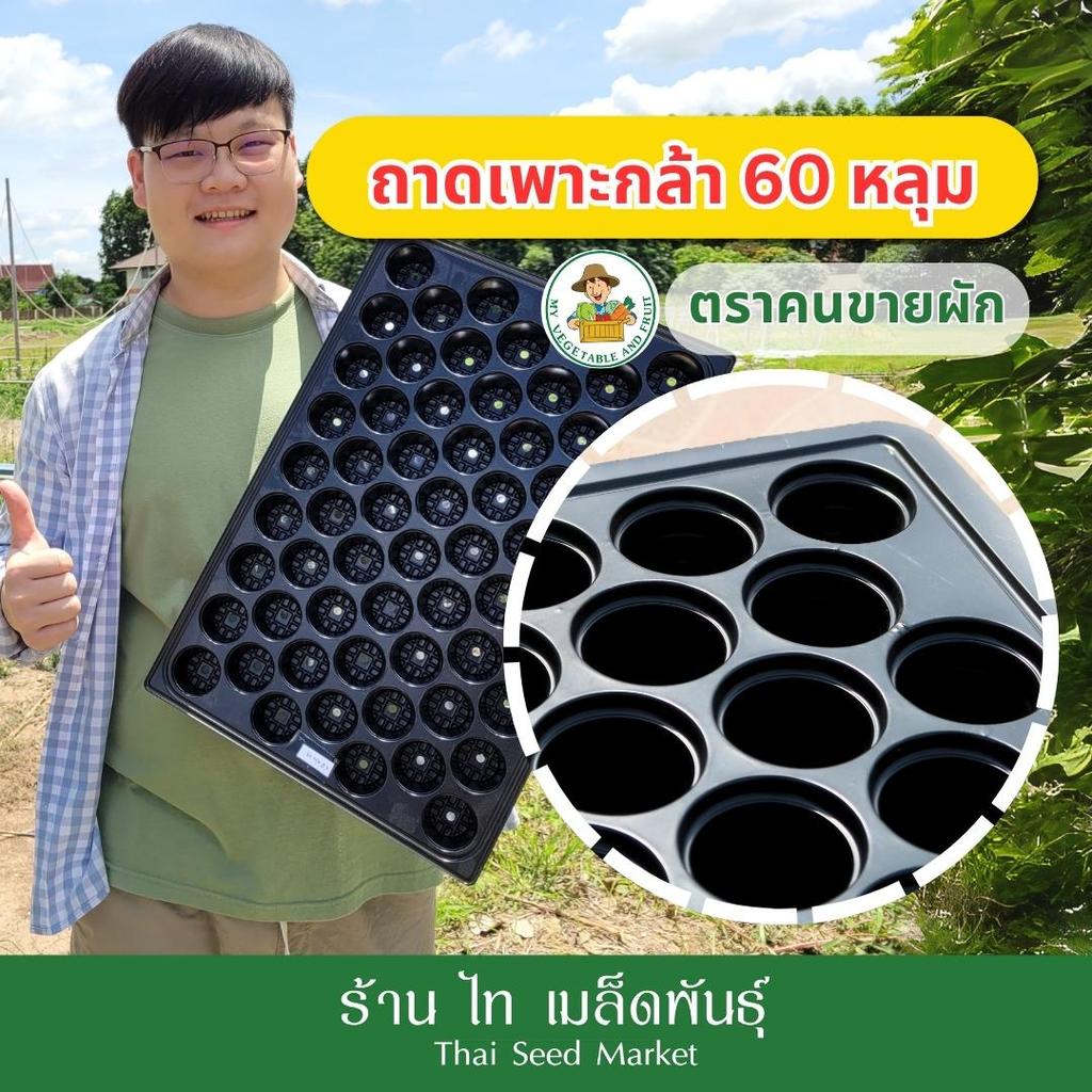 ถาดเพาะต้นกล้า 60 หลุม ถาดเพาะ ความหนา 0.6/0.7 มิลลิเมตร เกรด AAA ราคาพิเศษ ตราคนขายผัก