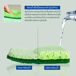 ฟองน้ำล้างจานเยื่อไม้ขัด2ด้าน แบบติดสก๊อตไบร์ท ล้างจานชามไม่เป็นรอยขัดคราบน้ำมัน แผ่นขัดเยื่อฝ้าย ใยขัด สก็อตไบร์ท ครัว