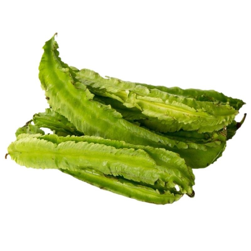 เมล็ดถั่วพู จอมทอง ตราตะวันต้นกล้า ขนาด Winged Bean (5seeds)เมล็ดพันธุ์ถั่วพู ถั่วพู เมล็ดผักสวนครัว เมล็ดพันธุ์ผัก - รูปที่ 3