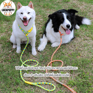 STOCK ✨ สาย P มืออาชีพ เชือกคุณภาพสูง สายจูงสุนัขขนาดกลาง–ให…