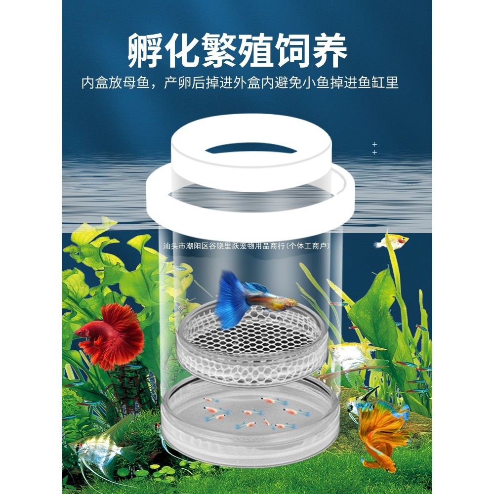 Hatch Box Guppy Fish Tank Breeding Isolation Box Small Fish Roe Fry Zebra Fish Betta Fish In Tank Aq