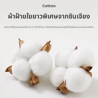 ถุงเท้ากันลื่นสำหรับเด็กในร่ม สวมใส่สบาย มีให้เลือกทั้งไซต์เด็กและผู้ใหญ่