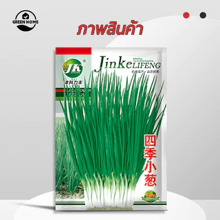ต้นหอม🎯หอมแบ่ง👍เมล็ดพันธุ์ต้นหอม 1500 เมล็ด🔥งอกง่าย🍀โตไว☘️ใบดก