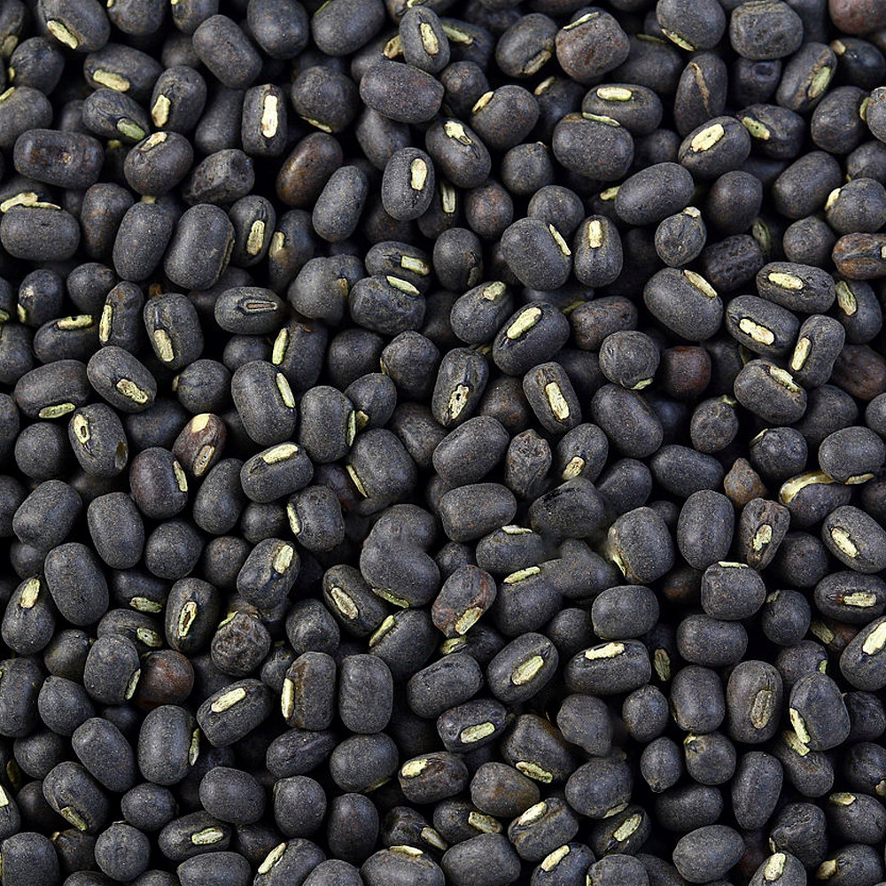 เมล็ดถั่วแขกดำ สำหรับเพาะงอก 900g. ถั่วดำ ถั่วเพาะงอก Black mung bean ถั่วเขียวผิวดำ ถั่วแขกพม่า