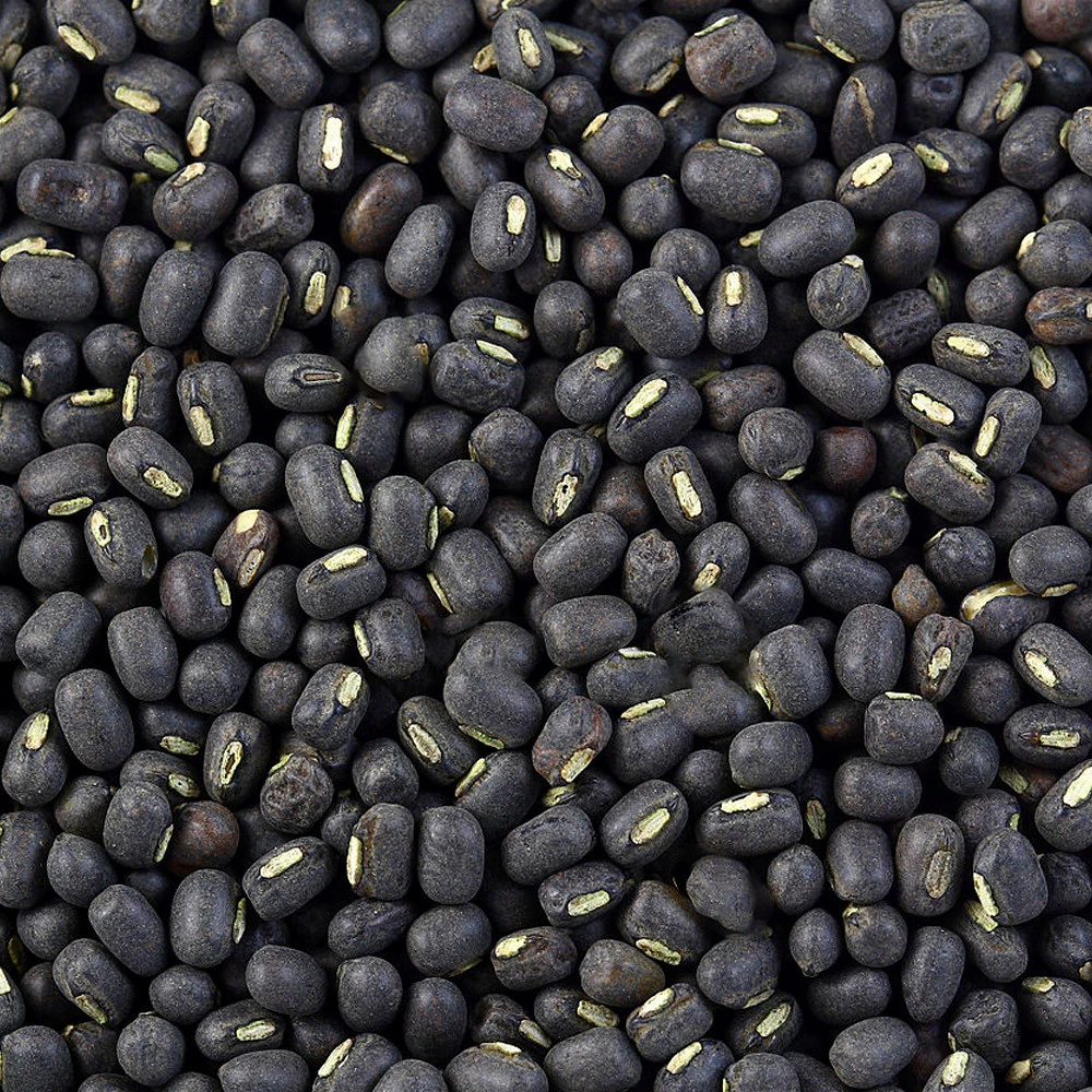 เมล็ดถั่วแขกดำ สำหรับเพาะงอก 900g. ถั่วดำ ถั่วเพาะงอก Black mung bean ถั่วเขียวผิวดำ ถั่วแขกพม่า