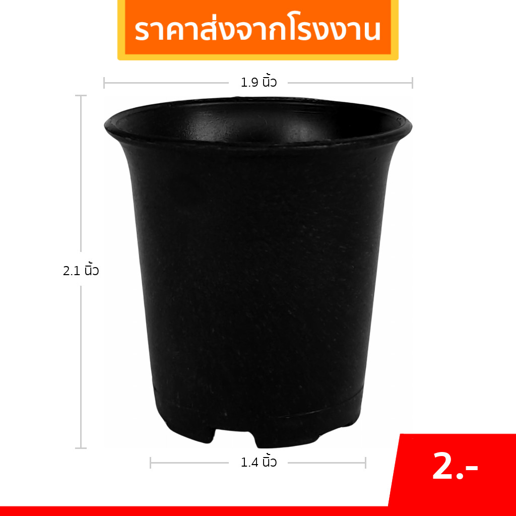 กระถาง กระถางต้นไม้ กระถางพลาสติก เบอร์ 2 3 4 5 6 7 8 9 10 12 นิ้ว สีดำ ขั้นต่ำ 50 ใบ ชิ้น อัน