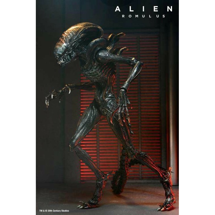 NECA Alien: Romulus Scorched Xenomorph Action Figure [เวอร์ชัน Ultimate]