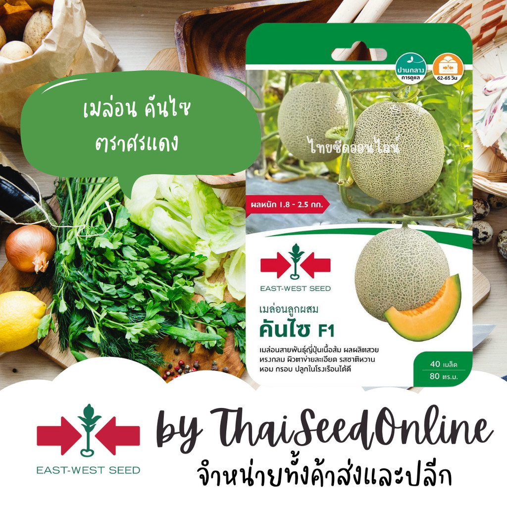 Sorndang(ศรแดง) GGEW เมล็ดพันธุ์ เมล่อน คันไซ 40 เมล็ด ตราศรแดง Melon