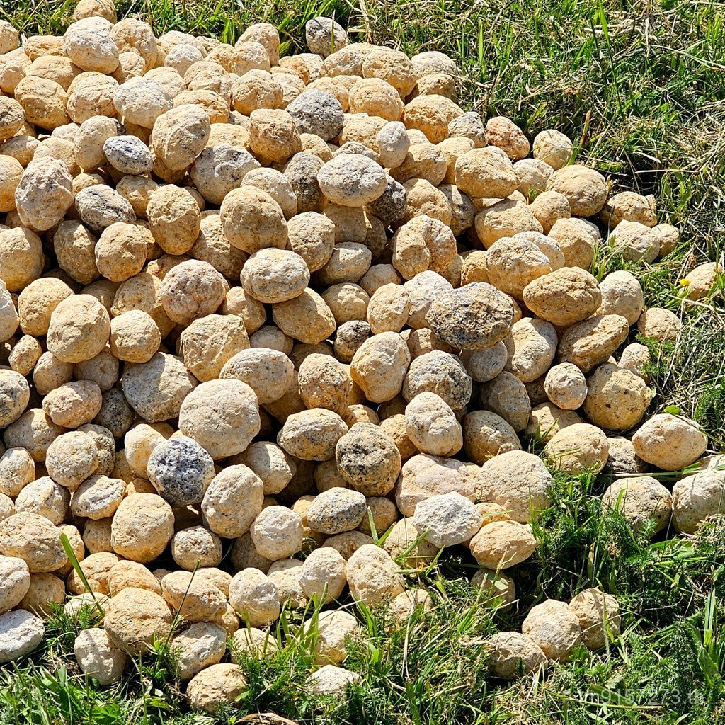 Geode Origin เครื่องประดับ Geode ธรรมชาติโมร็อกโกคริสตัลสีขาวถ้ําตัวอย่างการผลิตนําเข้าแร่อาเกตสีขาว