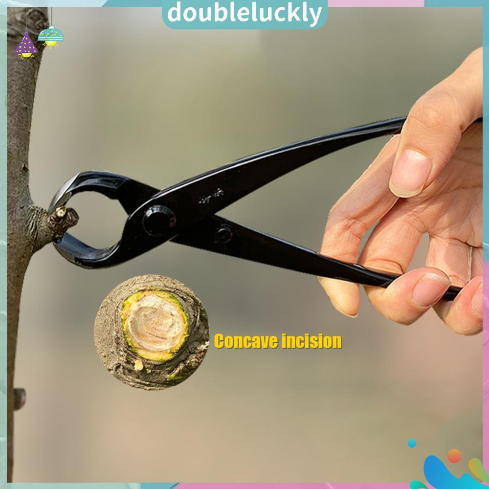 210MM เครื่องมือทําสวนบํารุงรักษาลูกบอนไซกรรไกรร่วมรอบคีมจมูกทรงกลมตัดตัดสินใจต้นไม้นอตคีมตัดแต่งกิ่