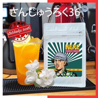 ชาดอกมะลิแท้ ซังโรคุ : แบรนด์ San roku : さんじゅうろく36