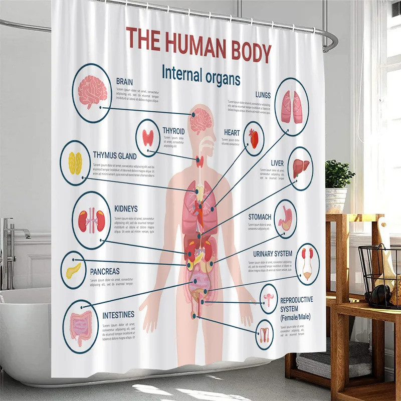 Human Body Organ Shower Curtain Human Nervous System Bathroom Decoration Modern Polyester Fabric Bat