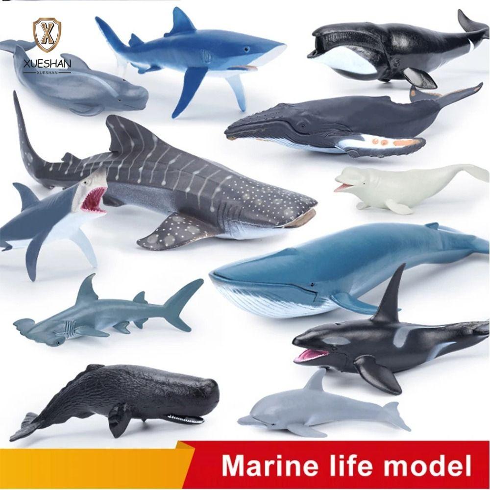 XUESHAN ตุ๊กตาปลาวาฬ, สัตว์รุ่นสัตว์ทะเลจําลอง Sea Life, ของเล่นเพื่อการศึกษา PVC Dolphin Hammerhead Ocean Action Figures