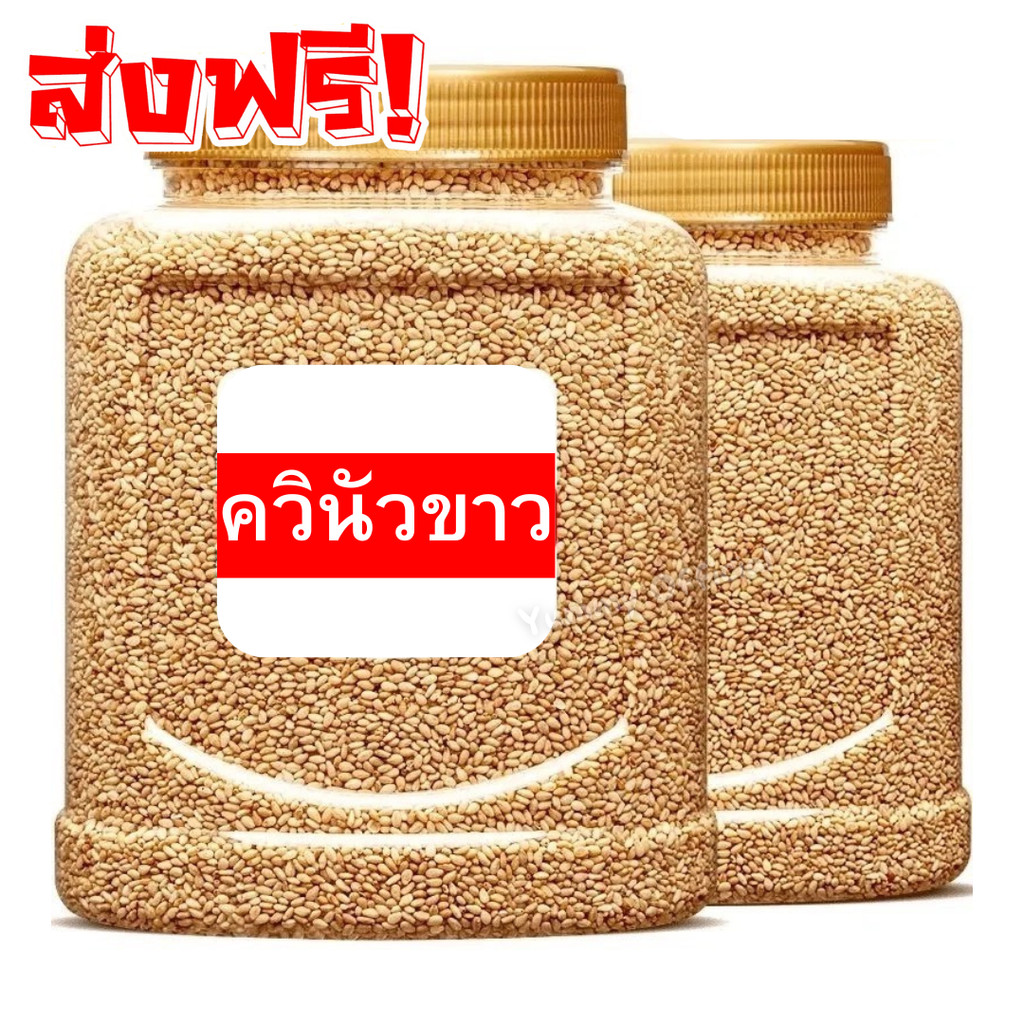 M  ถูกที่สุด 1KG  White Quinoa ควินัว ควินัวขาว Quinoa  (เม็ดใหญ่) เมล็ดควินัว เม็ดควินัว ควินัวขาว ควินัว คีนัว ครีนัว