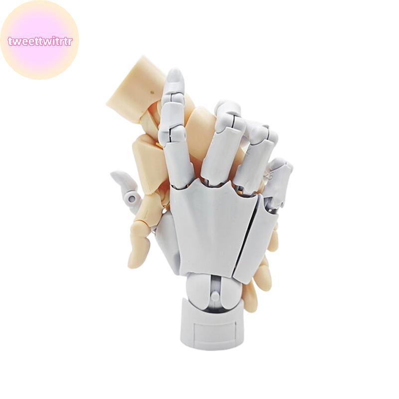 TRWITR เคลื่อนย้ายได้ Joint Finger Gashapon 1/2 มือ 1:1 ปาล์มภาพวาด Art Miniature รุ่น Reference เครื่องมือ Hand Desktop Decoratoion TH