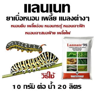 แลนเนท แท้ 98% เมโทมิล ฆ่าแมลง กำจัดหนอน บรรจุ 100 กรัม เพลี้ย ผงไม่มีสี สูตรแรง แรนเนด ยาแลนเนท ยาเมลาโทนิน