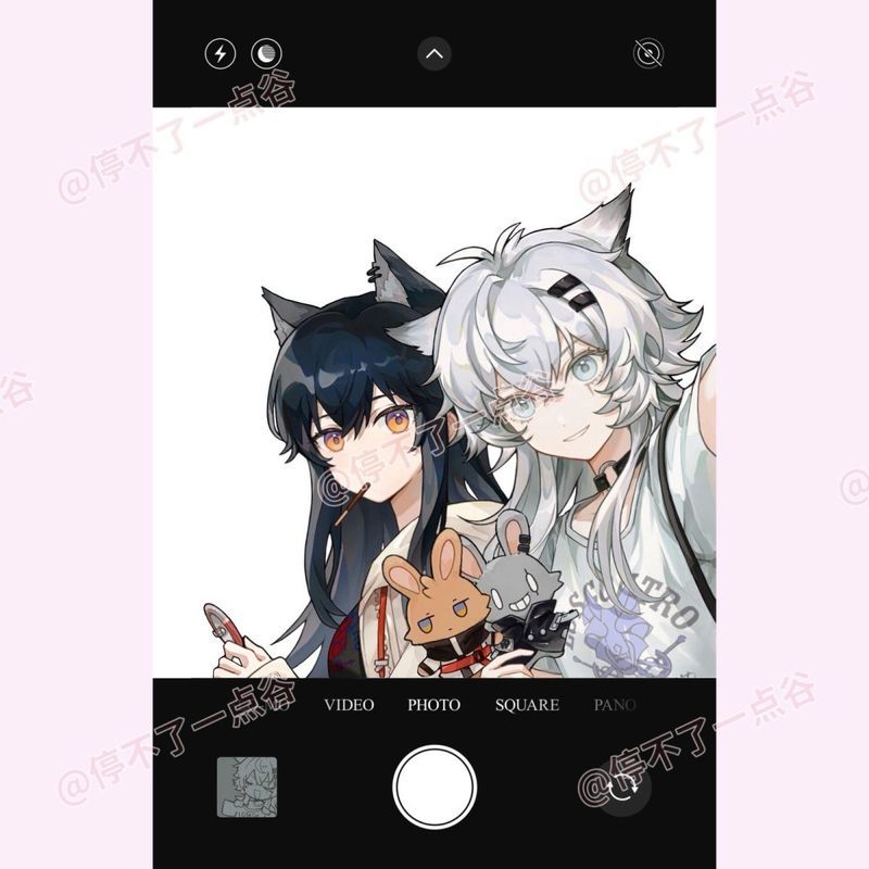 [Bota Shop] พรุ่งนี้ Ark Double Wolf Group Texasla Prand Animation เกมการถ่ายภาพมูลค่าสูงผ่านการ์ด H