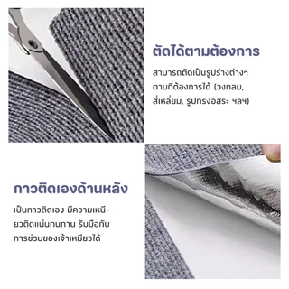 Pet Store พรมลับเล็บแมว ที่ฝนเล็บ แบบติดผนัง พร้อมกาว กันรอยข่วนได้ดี มีทั้งหมด 4 ขนาด DIY ได้นะคะ