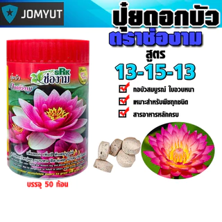 ปุ๋ยเร่งดอกบัว บัวทอง / ช่องาม แบบกระปุก 50 ก้อน เร่งดอกใหญ่ สีสด ใบเขียวเข้ม แตกหน่อไว เหมาะกับบัวทุกชนิด ใช้งานง่าย