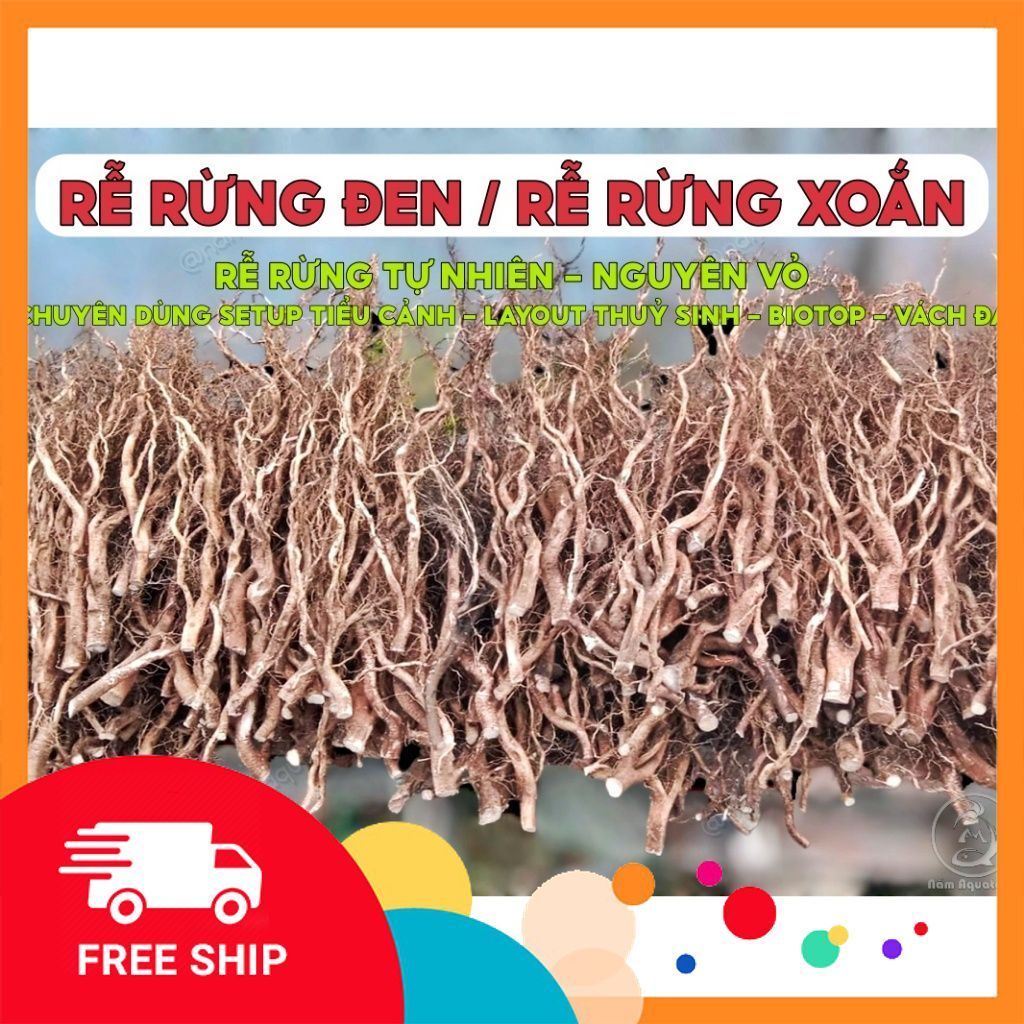 ไม้ดริฟท์ทั้งราก | Poplar Root Driftwood ตกแต่ง, การตั้งค่าเค้าโครงตู้ปลา, Biotop, เค้าโครงกึ่งภูมิประเทศ, เค้าโครงหน้าผา