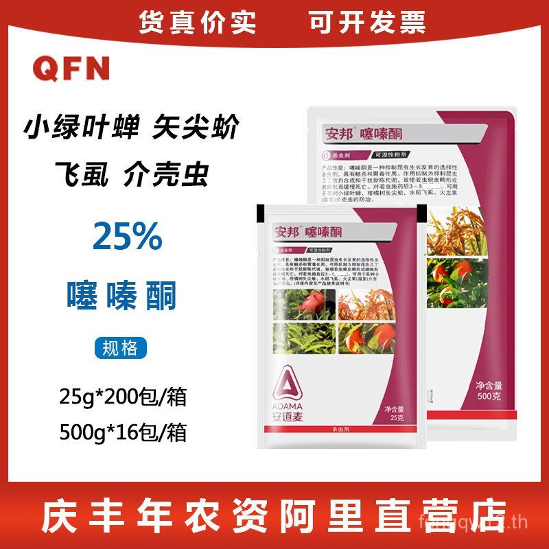 และ Andomai 25% Cicada Cicada Cicada Cicada Cicada Casca Casca Flying Lic 25g