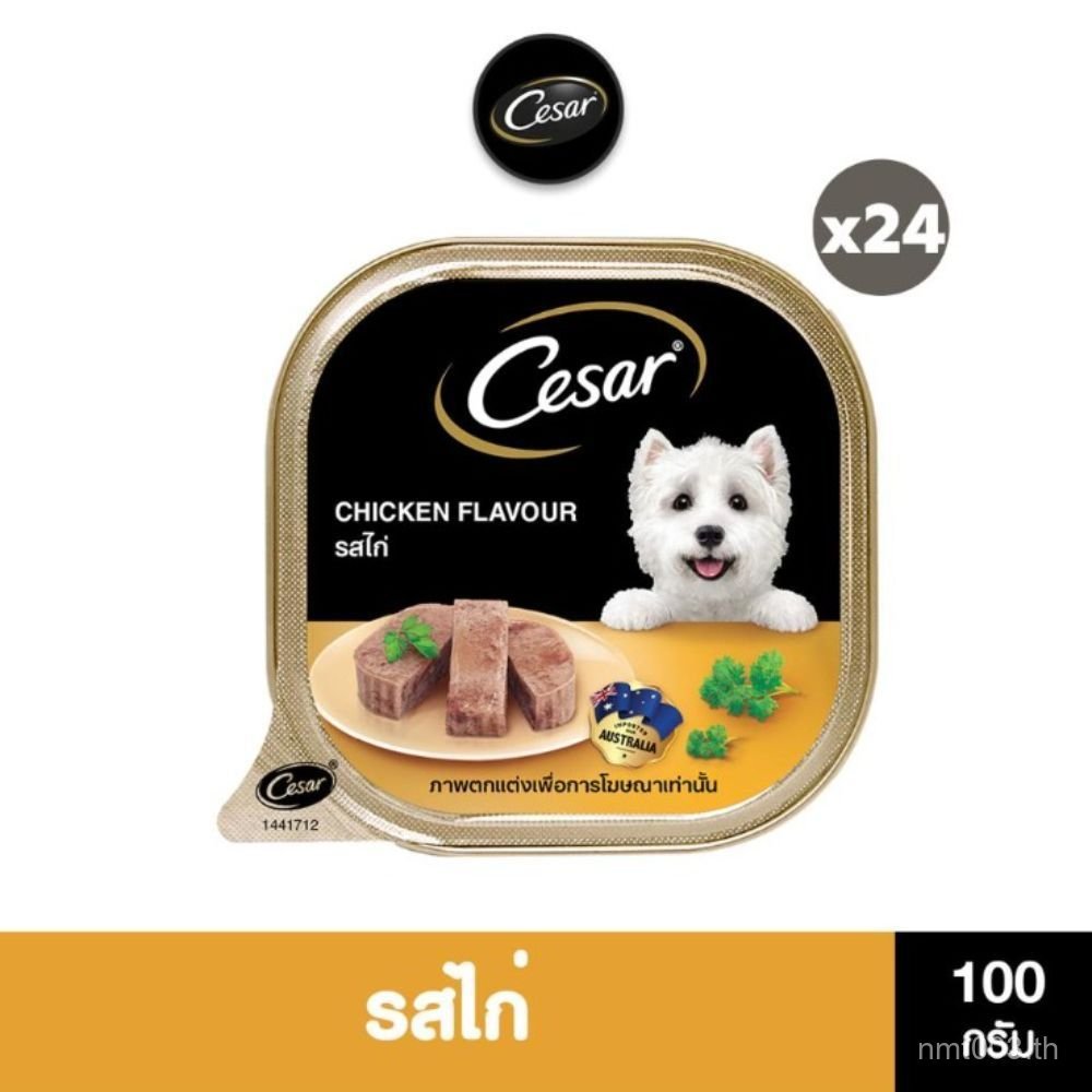 Cesar Wet Dog Food, Tray Type, All Flavors, 100 G. (24 Packs)