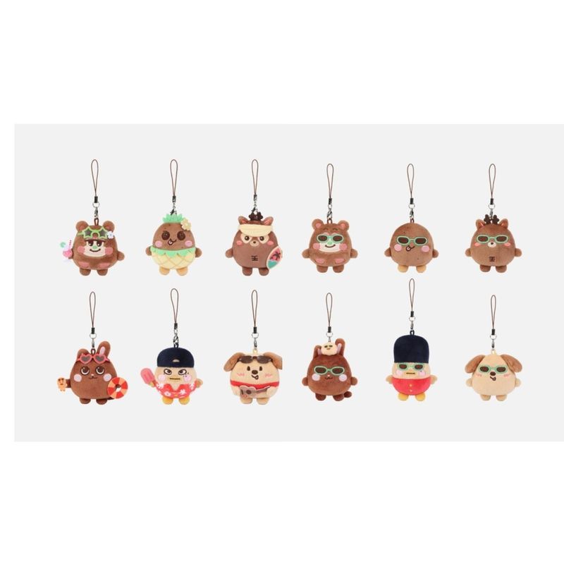 【พร้อมส่ง】riize ตุ๊กตา ตุ๊กตาเกาะ ตุ๊กตากวนๆ จี้พวงกุญแจ ตุ๊กตาหลอน ตุ๊กตา การ์ด riize album photoca