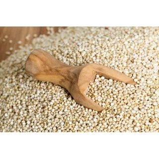 M 1กิโลกรัม ควินัวขาว White Quinoa (เม็ดใหญ่) ควินัวขาว ควินัว คีนัว ครีนัว ออร์แกนิค (organic)