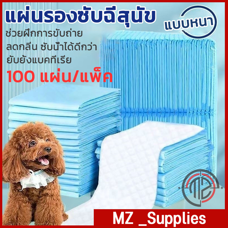 🐱 Pee Pad สำหรับสัตว์เลี้ยง 🐕， เหมาะสำหรับฝึกเข้าห้องน้ำ เนื้อดี ซึมเร็ว ซึมเร็ว เหมาะสำหรับสุนัขและแมว