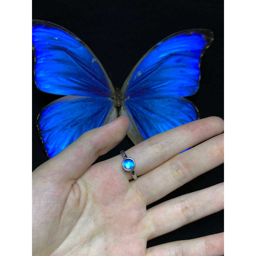 สร้อยคอผีเสื้อสีน้ำเงิน EOC Morpho menelaus - จี้ดั้นทาย อาร์ตติก สำหรับของขวัญหรูหรา