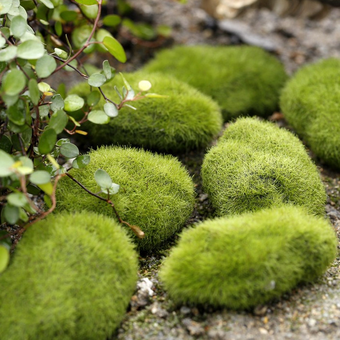 6ชิ้น/เซ็ตประดิษฐ์สีเขียวมอสหินสําหรับสวนตกแต่งบ้านปลอมโฟมหินไมโครภูมิทัศน์เครื่องประดับตกแต่ง
