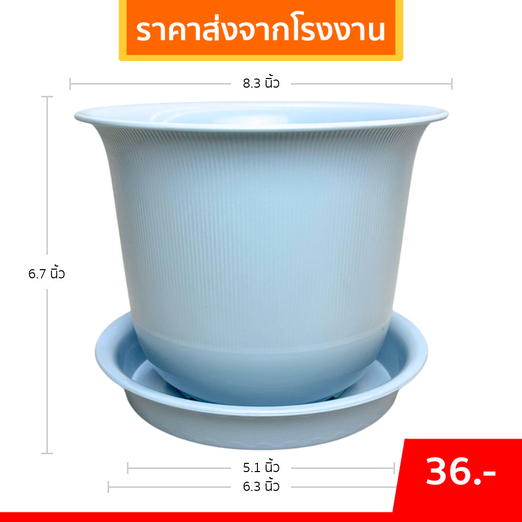 กระถาง กระถางต้นไม้ มินิมอล ถ้วยจีน จานรอง ขนาด 8 นิ้ว สีฟ้าพาสเทล ขั้นต่ำ 2 ใบ ชิ้น อัน