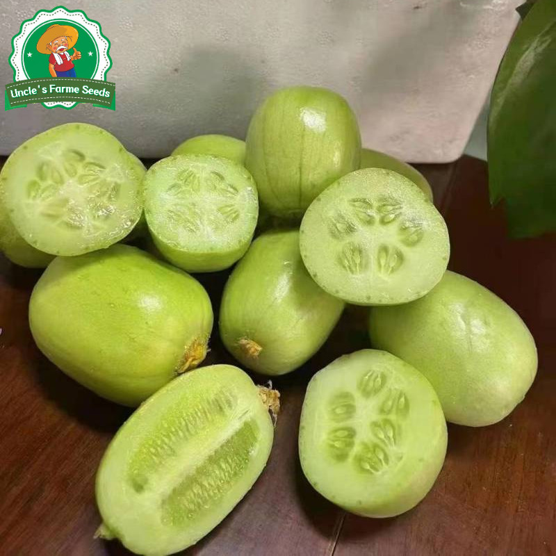 เมล็ดพันธุ์แตงกวาไขไก่ เมล็ดแตงกวามินิ 10เมล็ด แตงกวาจิ๋ว High Yield Jade Girl Mini Cucumber Seeds Vegetable Seeds - รูปที่ 4