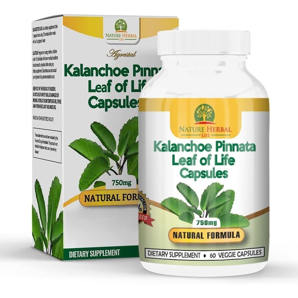 ชีวิตสมุนไพรจากธรรมชาติ Kalanchoe Pinnata-Leaf of Life (Bryophyllum Pinnatum)Lao Di Sheng Gen, แคปซู