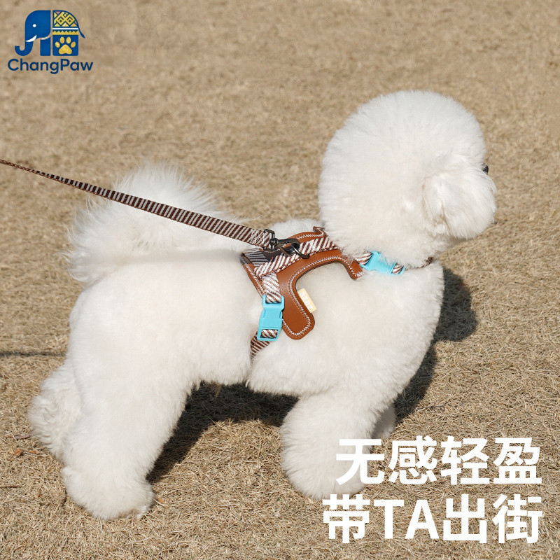 zeze แบบสายรัดอก กันหลุด ปลอดภัย สำหรับน้องหมาพันธุ์เล็ก ใช้งานกลางแจง ทนทาน ใส่สบาย