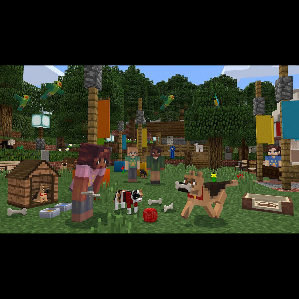 Thumbnail 7